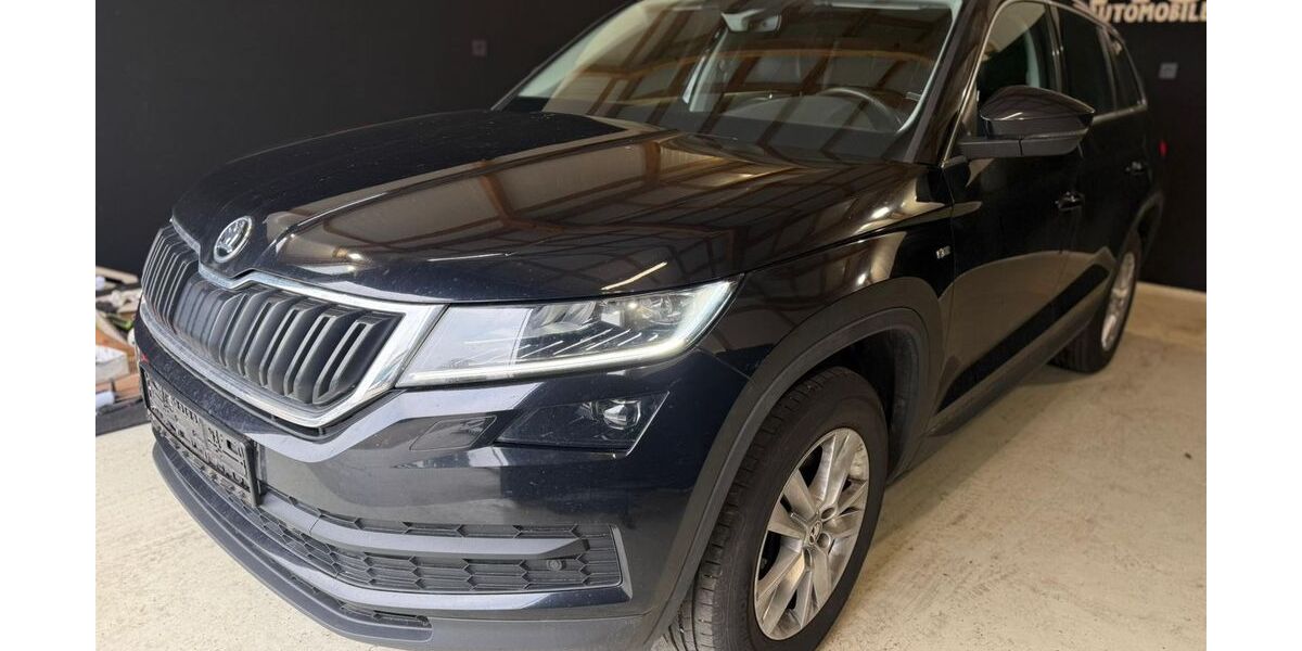 Skoda Kodiaq 188.000 km 18.802 &euro; Heidelberg 69123