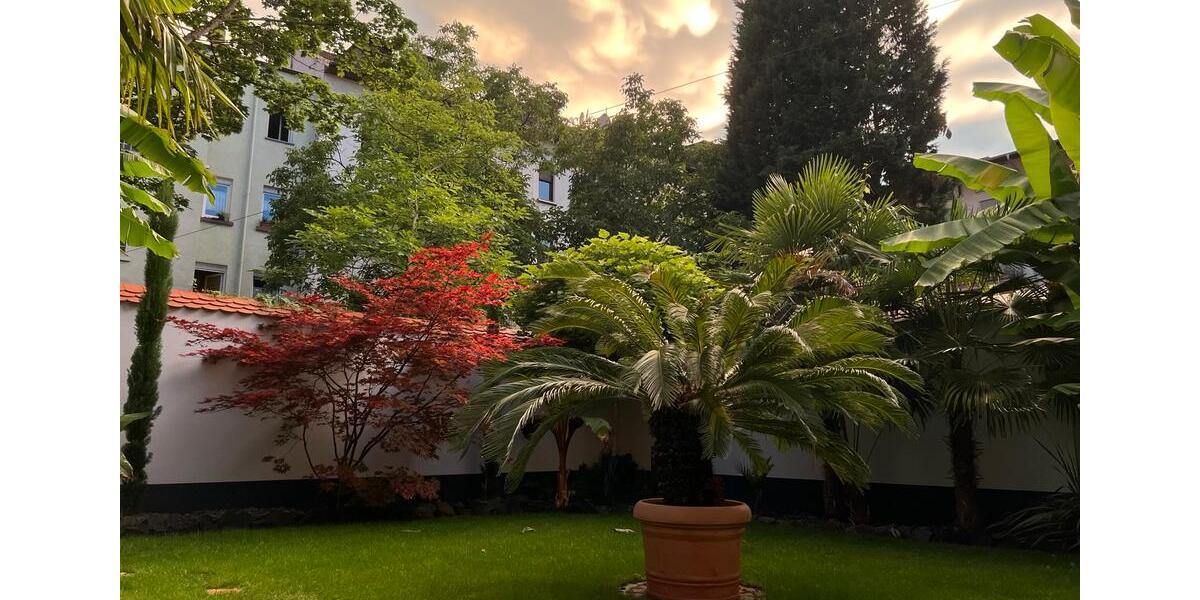 Erdgeschoßwohnung Ludwigshafen am Rhein Ludwigshafen-Oggersheim - 3 Zimmer, 100 m&sup2;, 1.200&euro; | Angebot:26177148