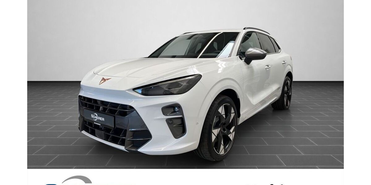 Cupra Terramar 9.900 km 41.595 &euro; Heidelberg 69123