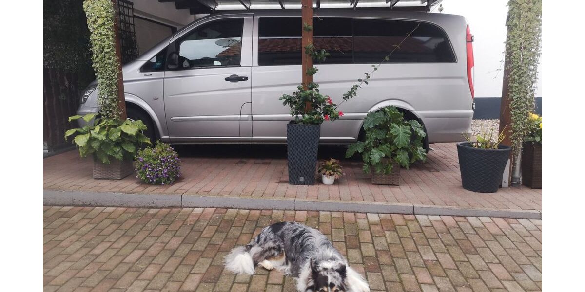 Mercedes-Benz Vito 324.970 km 9.500 &euro; Dudenhofen 67373