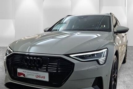Audi Q8 e-tron 51.242 km 48.870 &euro; Speyer 67346