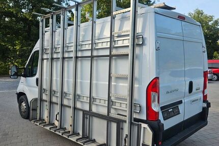 Fiat Ducato 294.379 km 8.900 &euro; Lachen-Speyerdorf 67435