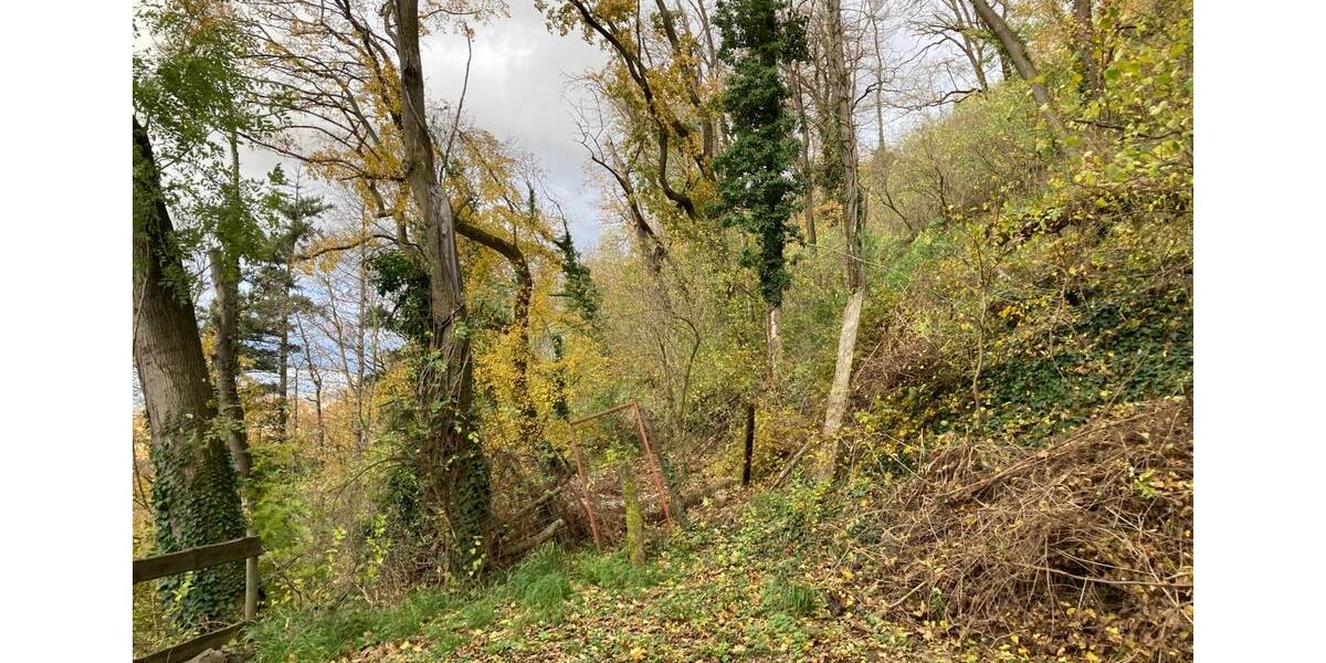 Grundstück Weinheim - 69.000&euro; | Angebot:23843184