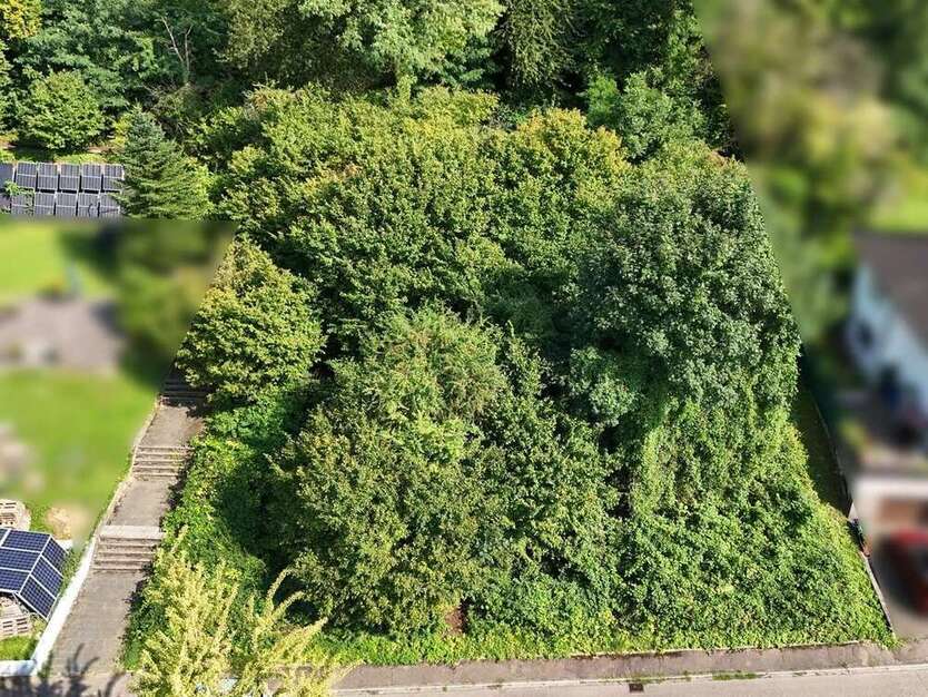 Grundstück zu verkaufen in Leimen 990.000 € 1202 m²