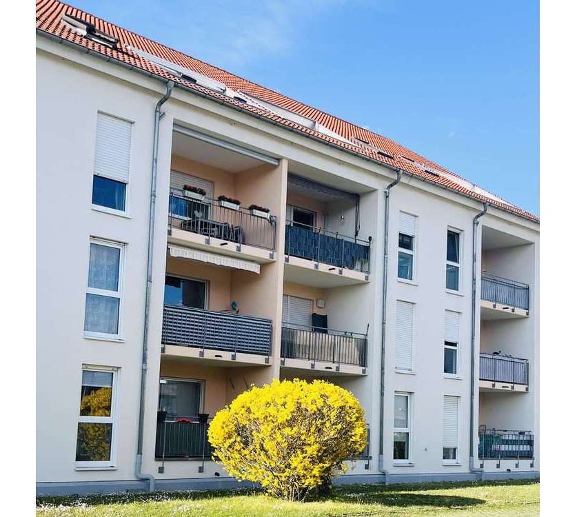 Wohnung zum Kaufen in Brühl 235.000 € 63.76 m²