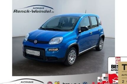 Fiat Panda 3.128 km 15.989 € Speyer 67346