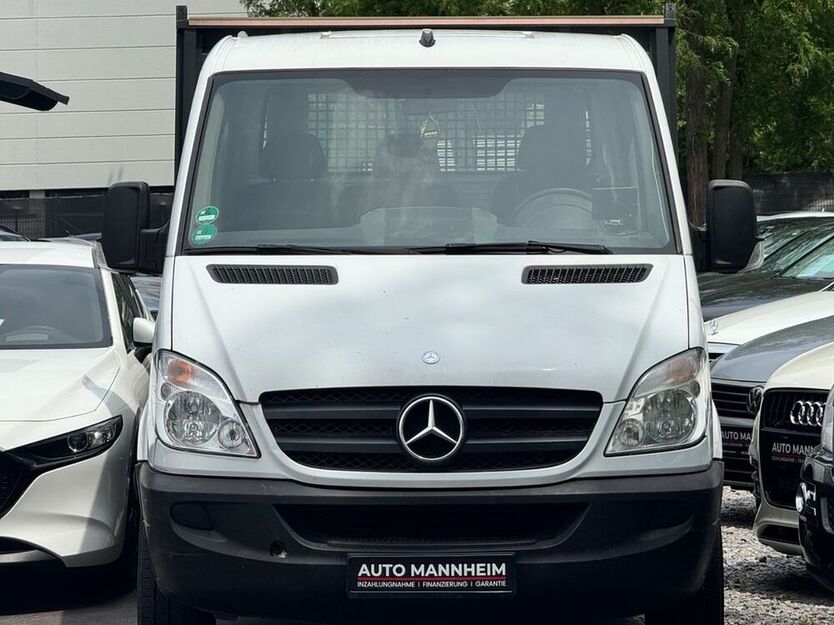 Sprinter