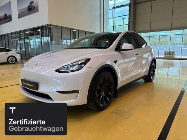 Model Y