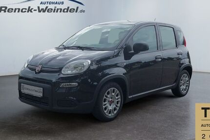 Fiat Panda 36.427 km 11.789 &euro; Speyer 67346