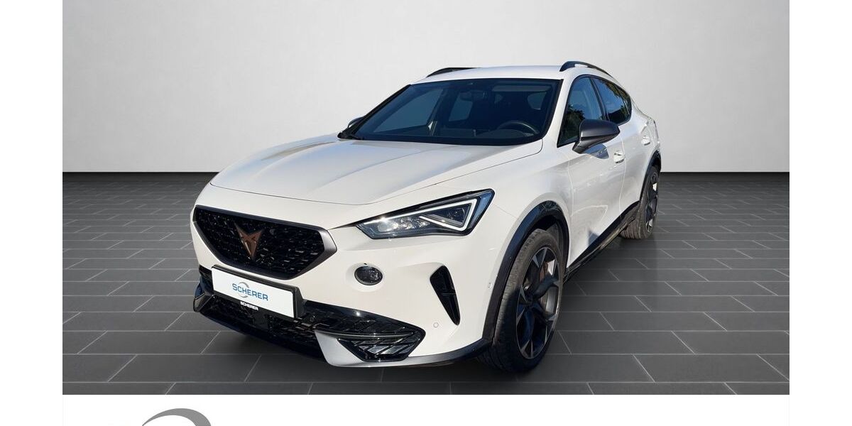 Cupra Formentor 38.887 km 29.690 &euro; Ludwigshafen 67063