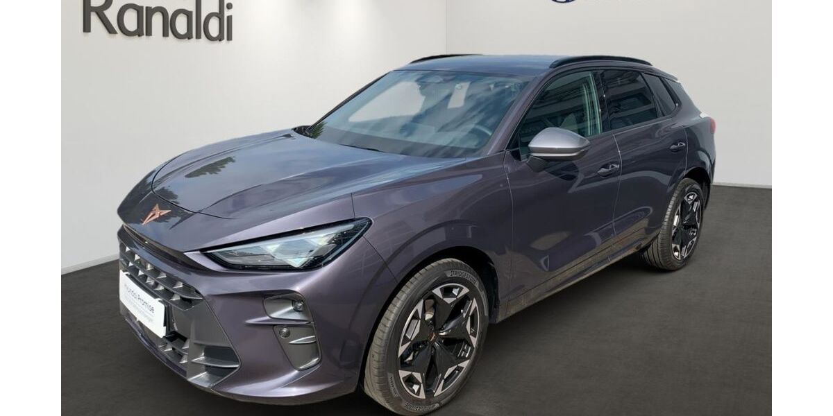 Cupra Terramar 1.900 km 34.990 &euro; Wiesloch 69168