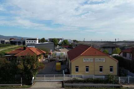 Gewerbeobjekt Kirrweiler (Pfalz) - 990.000&euro; | Angebot:27280405
