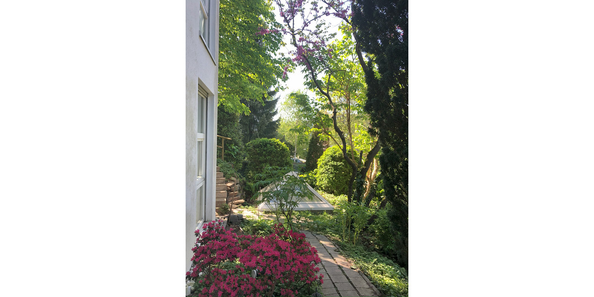 Außergewöhnliches Split-Level-Architektenhaus – Privatsphäre, Panorama & pure Lebensqualität 7 zimmer