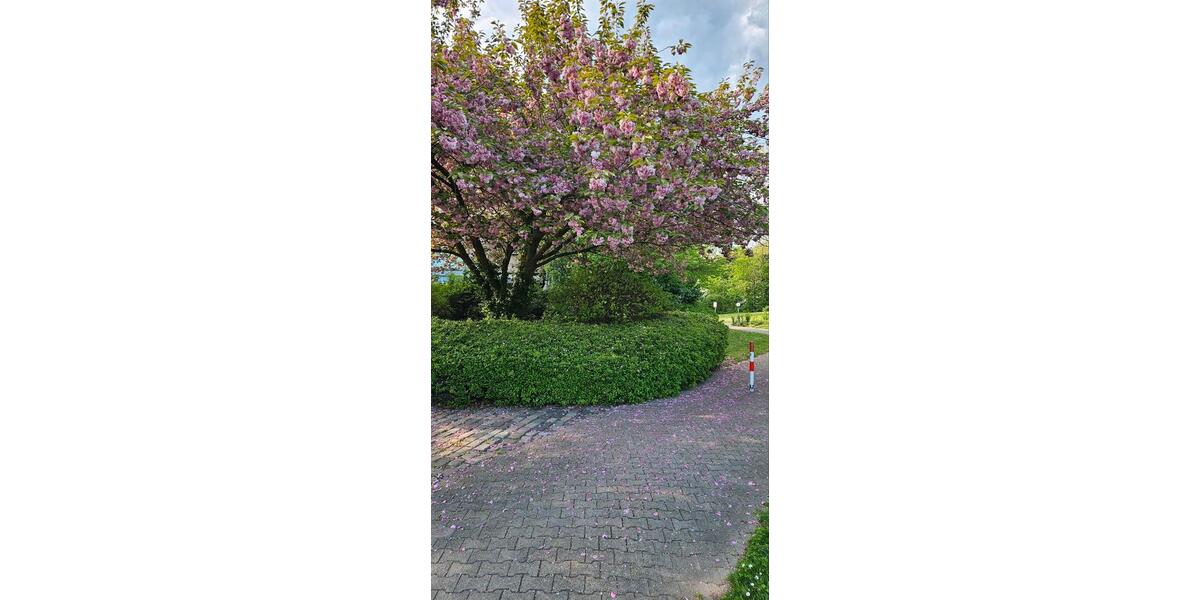 Etagenwohnung Mannheim Feudenheim - 3 Zimmer, 80 m&sup2;, 295.000&euro; | Angebot:26234449