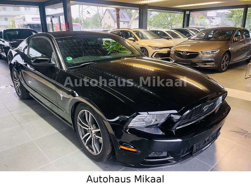 Mustang