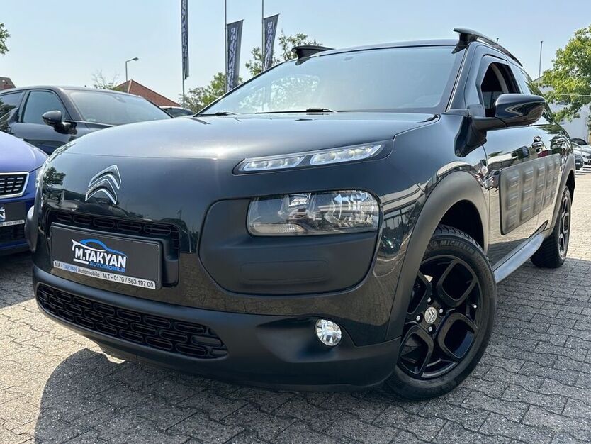 C4 Cactus