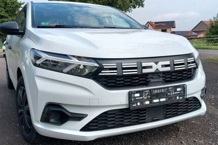 Dacia Sandero 46.500 km 11.888 &euro; Grünstadt 67269