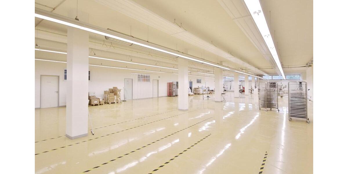 Großhandels-, Produktions- oder Lagerfläche mit 1.000 qm Nutzfläche im Erdgeschoss, Laderampe zimmer