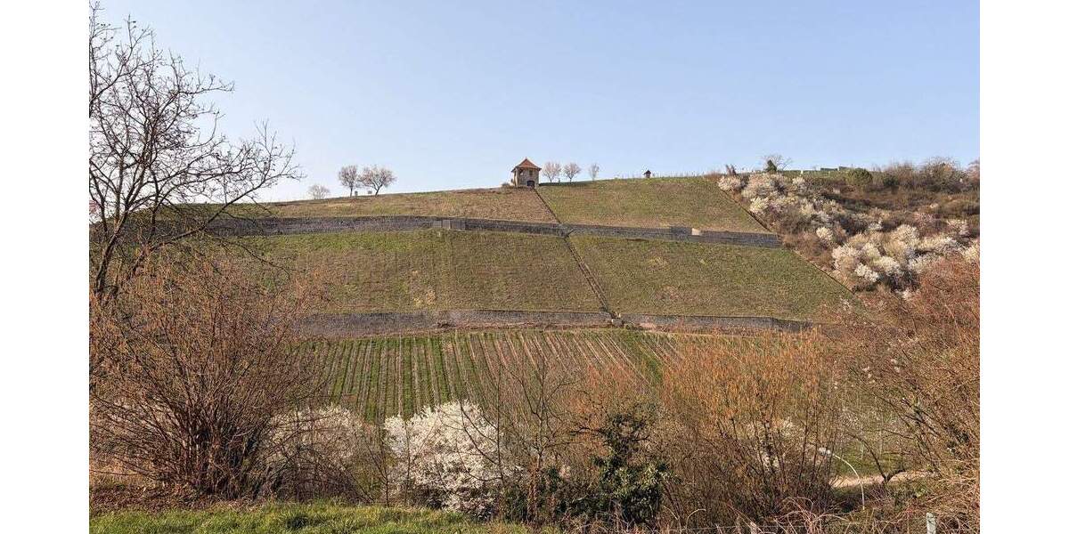 Terrassenwohnung Heppenheim - 2 Zimmer, 101 m&sup2;, 1.490&euro; | Angebot:26258904