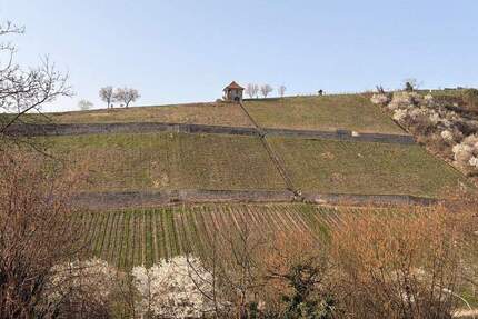 Wohnung Heppenheim - 2 Zimmer, 101 m&sup2;, 1.490&euro; | Angebot:26258904