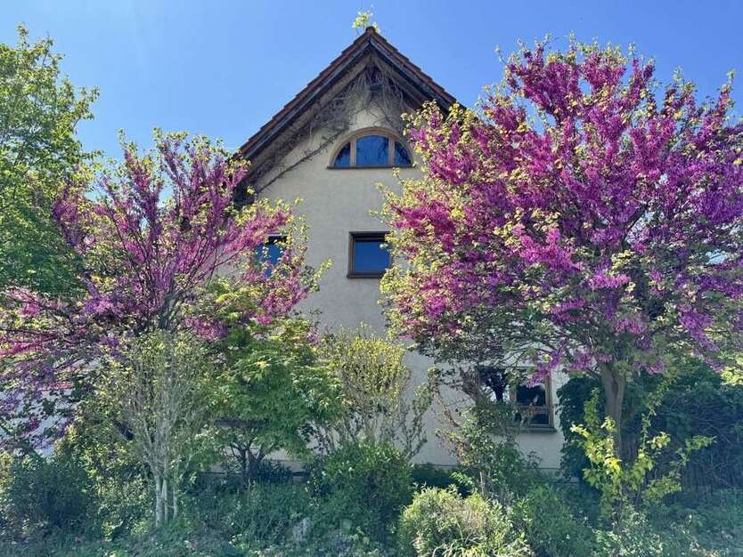 Haus zum Kaufen in Lampertheim 859.000 € 253 m²