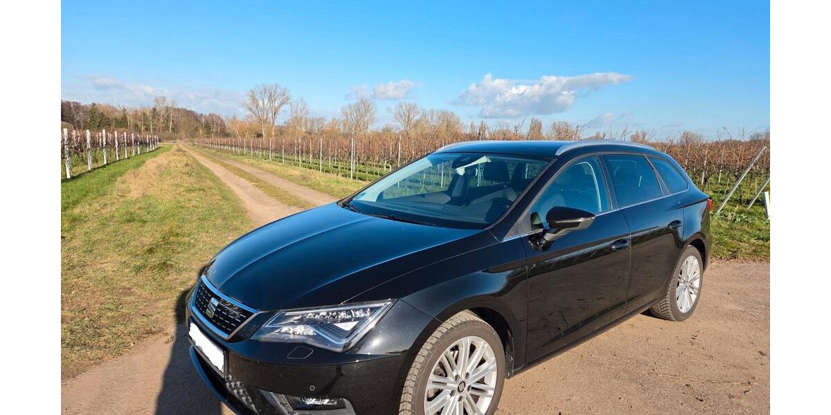 Seat Leon 49.000 km 15.899 &euro; Altdorf (Deutschland) 67482