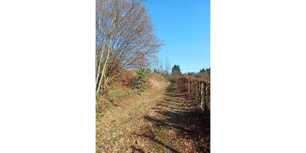 Grundstück Wilhelmsfeld - 685.000&euro; | Angebot:25804734