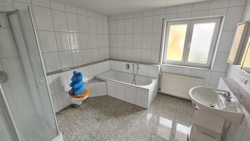 ObjNr:19759 - Attraktives Wohnen im gepflegten EFH mit Garten, Terrasse, Balkon und Garage in LU-Maudach 6.5 zimmer