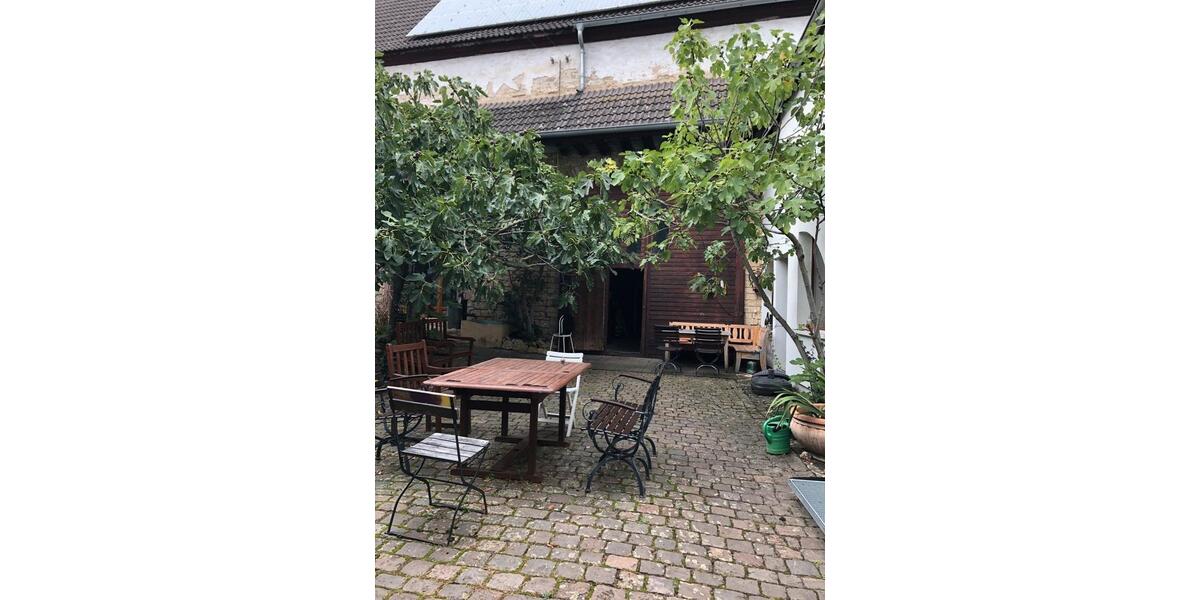 Erdgeschoßwohnung Kindenheim - 1 Zimmer, 35 m&sup2;, 429&euro; | Angebot:26638555
