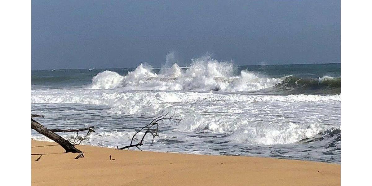 Grundstück in Costa Rica in einer der blauen Zonen der Erde - Grundstück Mannheim Innenstadt | Angebot:6359515