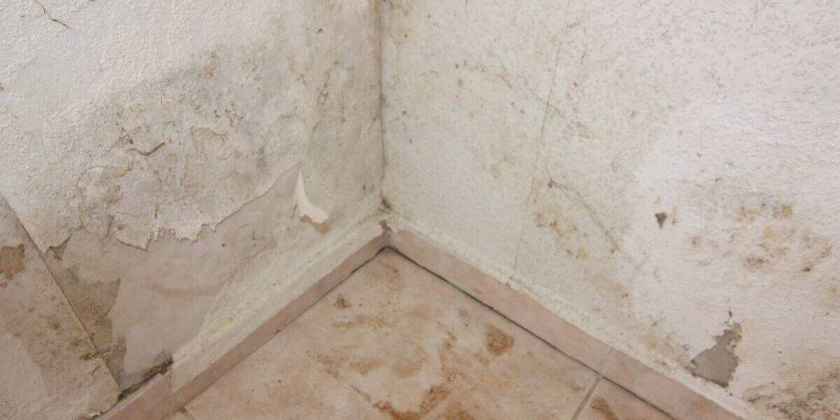 3-Zimmer-Wohnung mit großem Potenzial in zentraler aber grüner Lage von Neckargemünd 3 zimmer