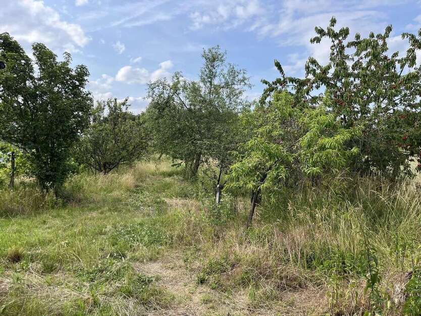 Spezialgewerbe in Ludwigshafen am Rhein 120.000 €