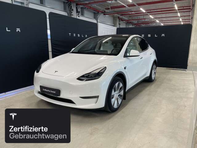 Model Y
