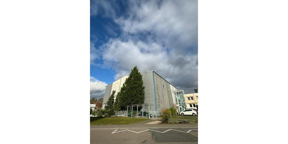 Gewerbeobjekt Reilingen - 8.487&euro; | Angebot:23331998