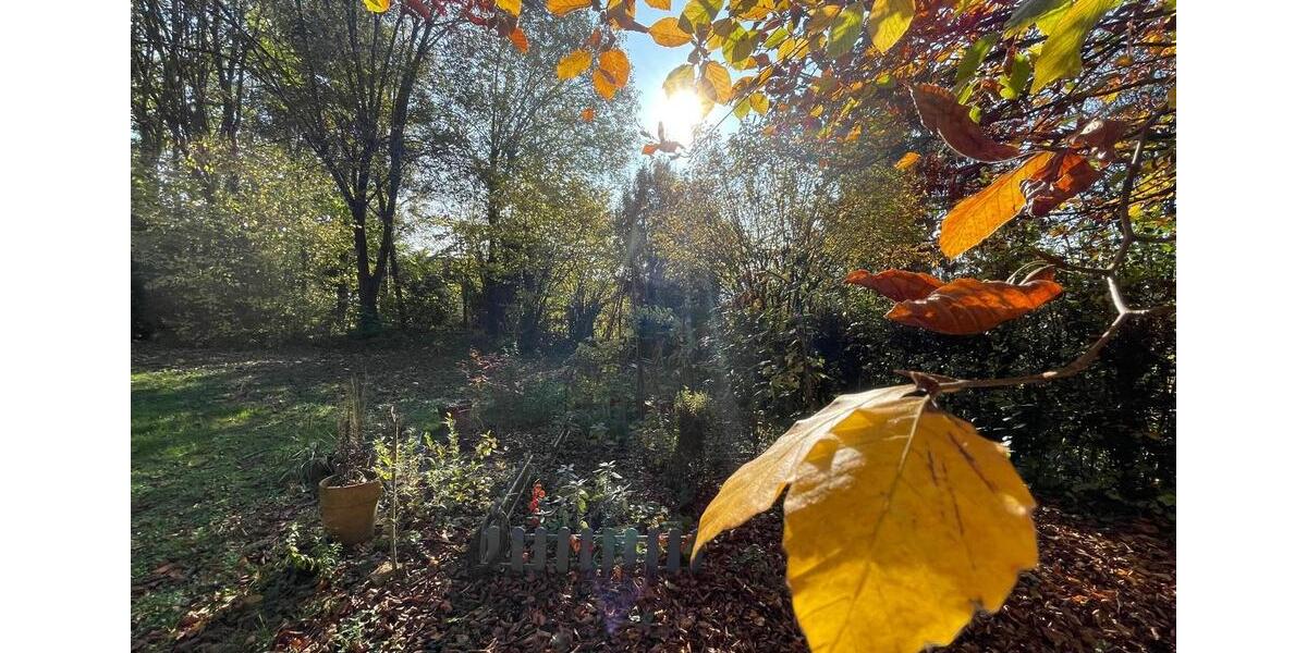 Einfamilienhaus Bammental - 7 Zimmer, 150 m&sup2;, 2.100&euro; | Angebot:26130459