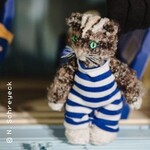 Wuff & Mietze - Der Brief