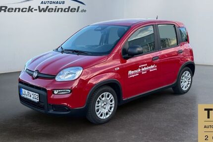 Fiat New Panda
