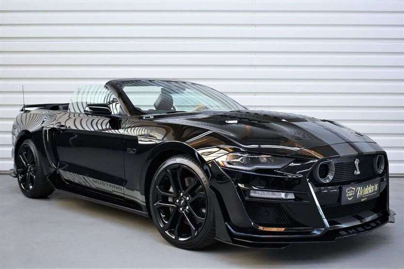 Mustang