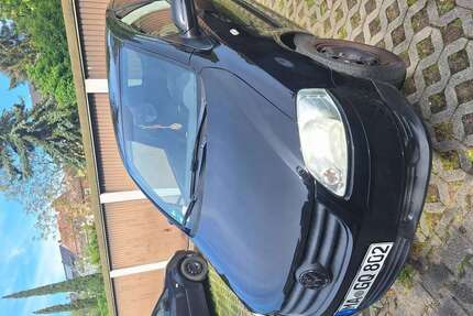 VW Fox