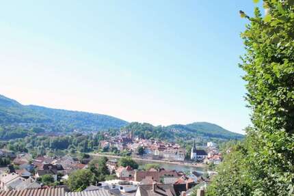 Grundstück zu verkaufen in Neckargemünd 290.000 € 968 m² zimmer