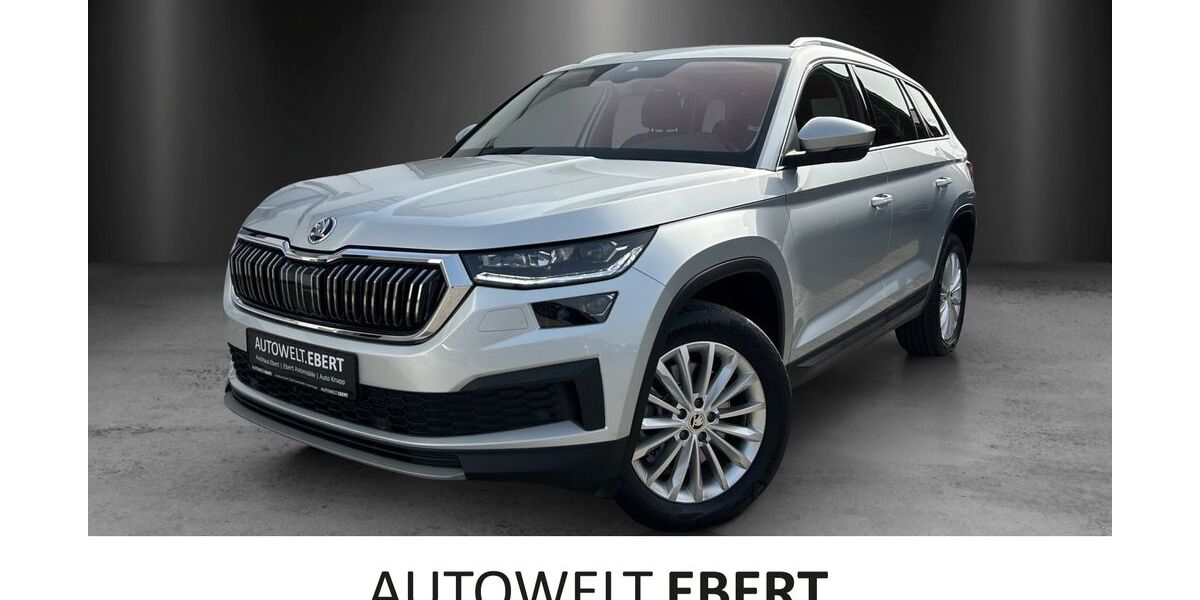 Skoda Kodiaq 51.600 km 34.890 &euro; Weinheim 69469