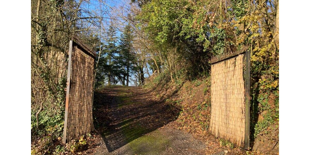 Grundstück Weinheim - 69.000&euro; | Angebot:23843184