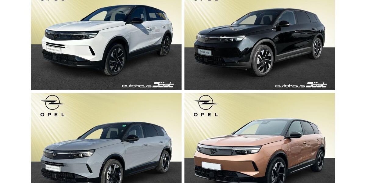 Opel Grandland (X) 4.900 km 43.950 &euro; Weinheim 69469