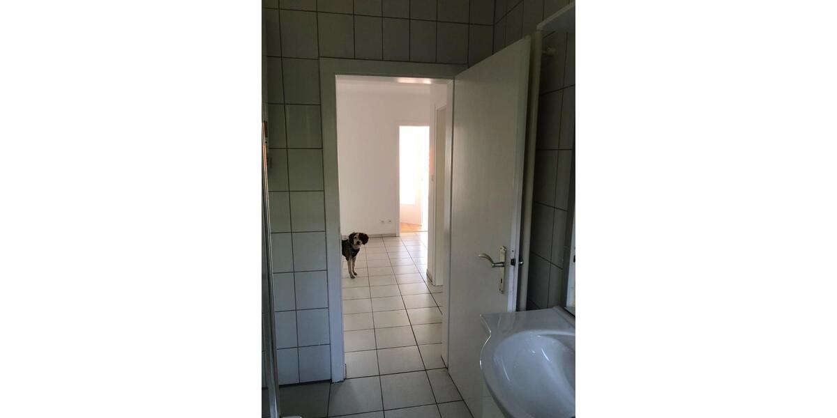 Vollständig renovierte 3-ZKB mit Balkon in Wald-Michelbach 3 zimmer