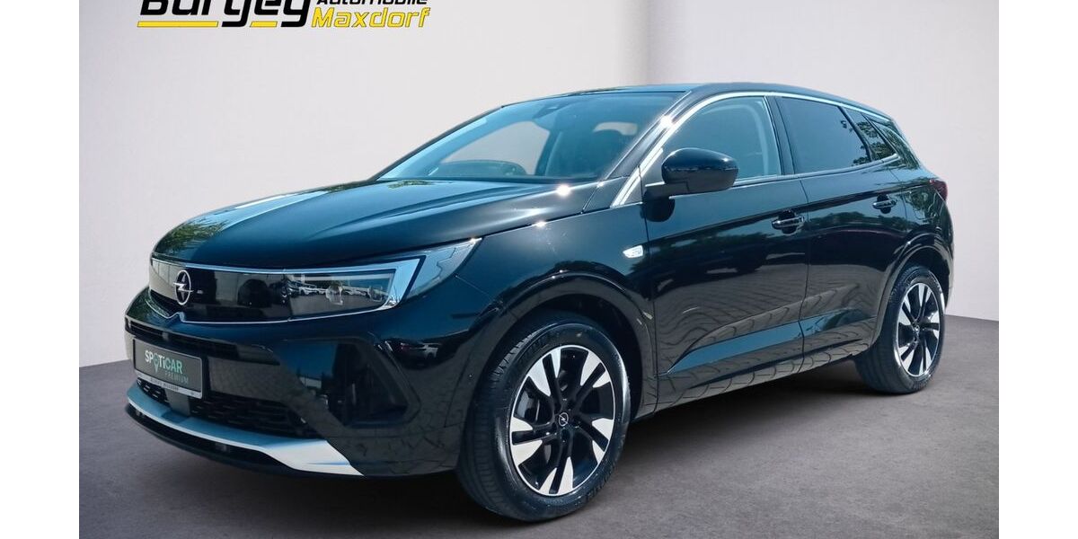 Opel Grandland (X) 9.900 km 26.930 &euro; Maxdorf 67133