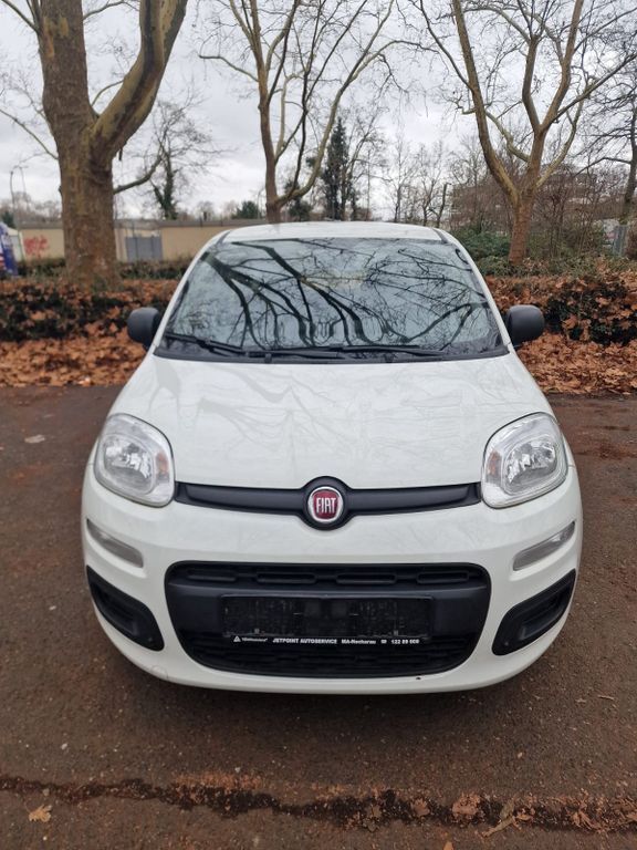 New Panda
