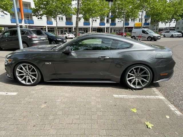 Mustang