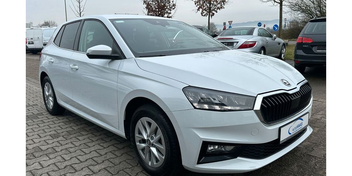 Skoda Fabia 19.600 km 18.390 &euro; Viernheim 68519