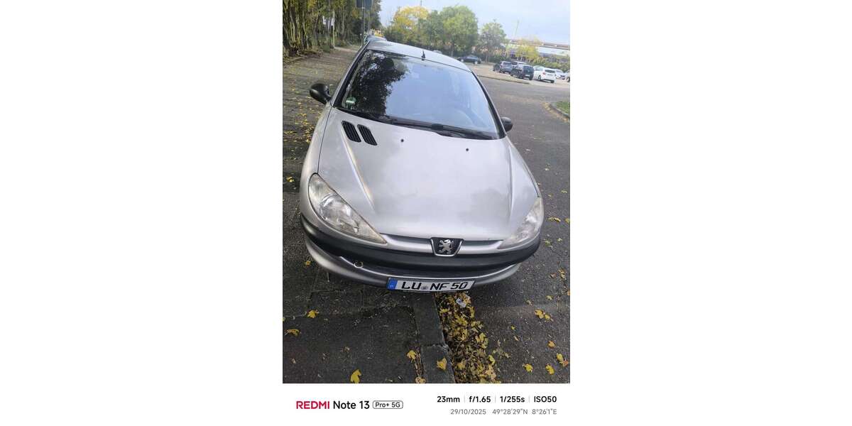 Peugeot 206 199.050 km 1.300 &euro; Süd (Ludwigshafen am Rhein) 67061