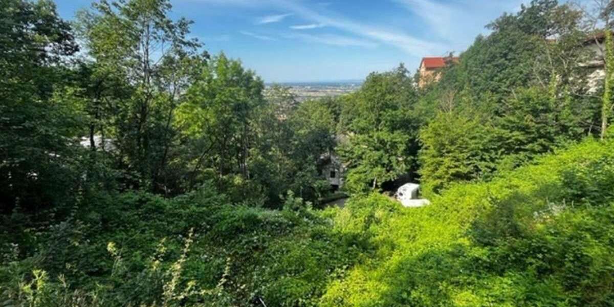 Grundstück Schriesheim - 399.000&euro; | Angebot:26205230